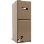 Affinity, AVC18BX21